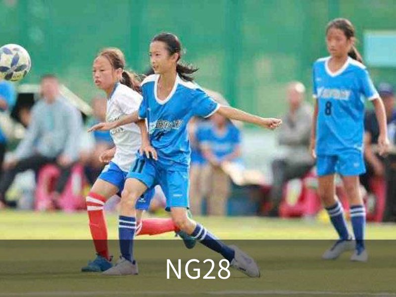 NG28介绍